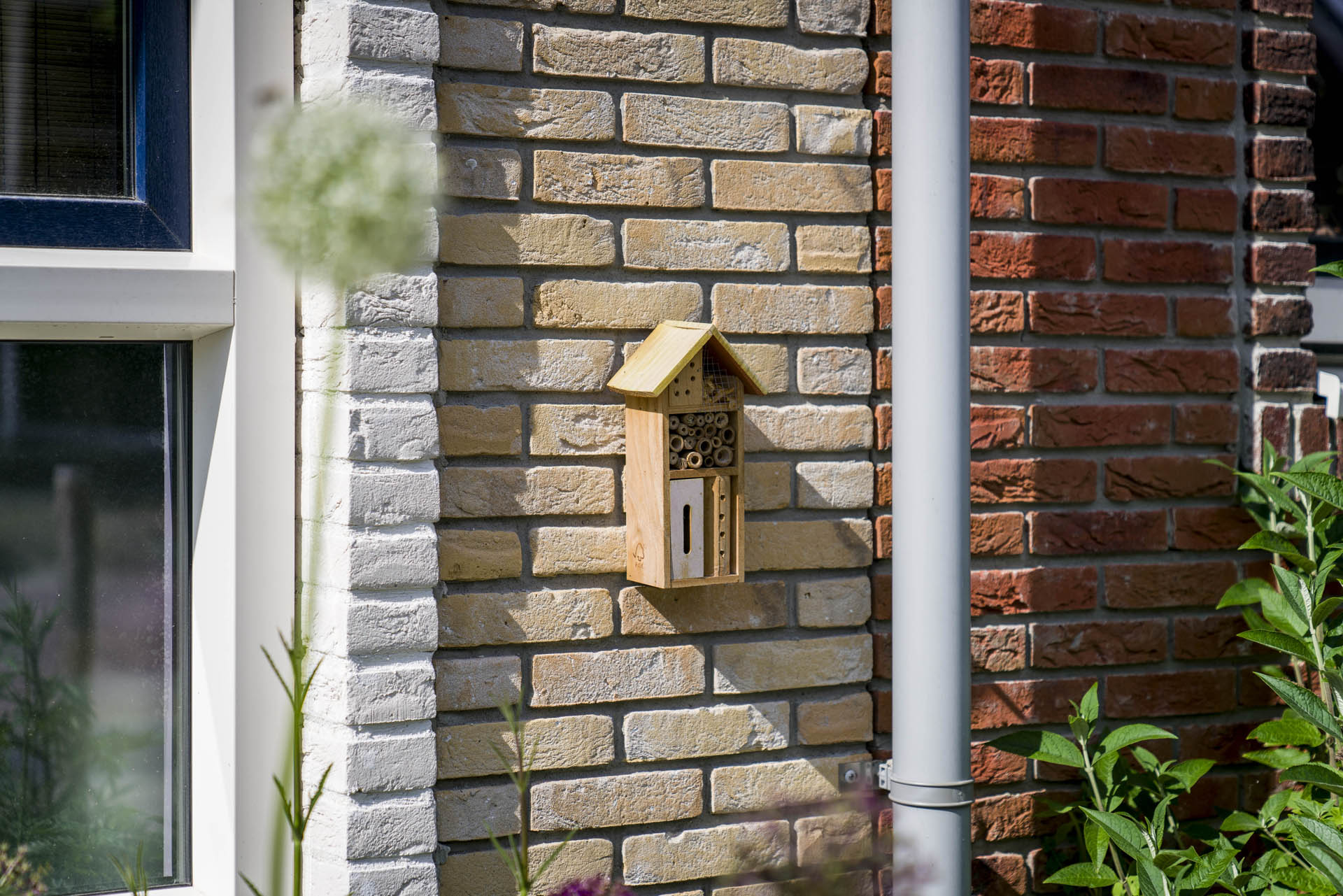 Enschede, Lage Bothof