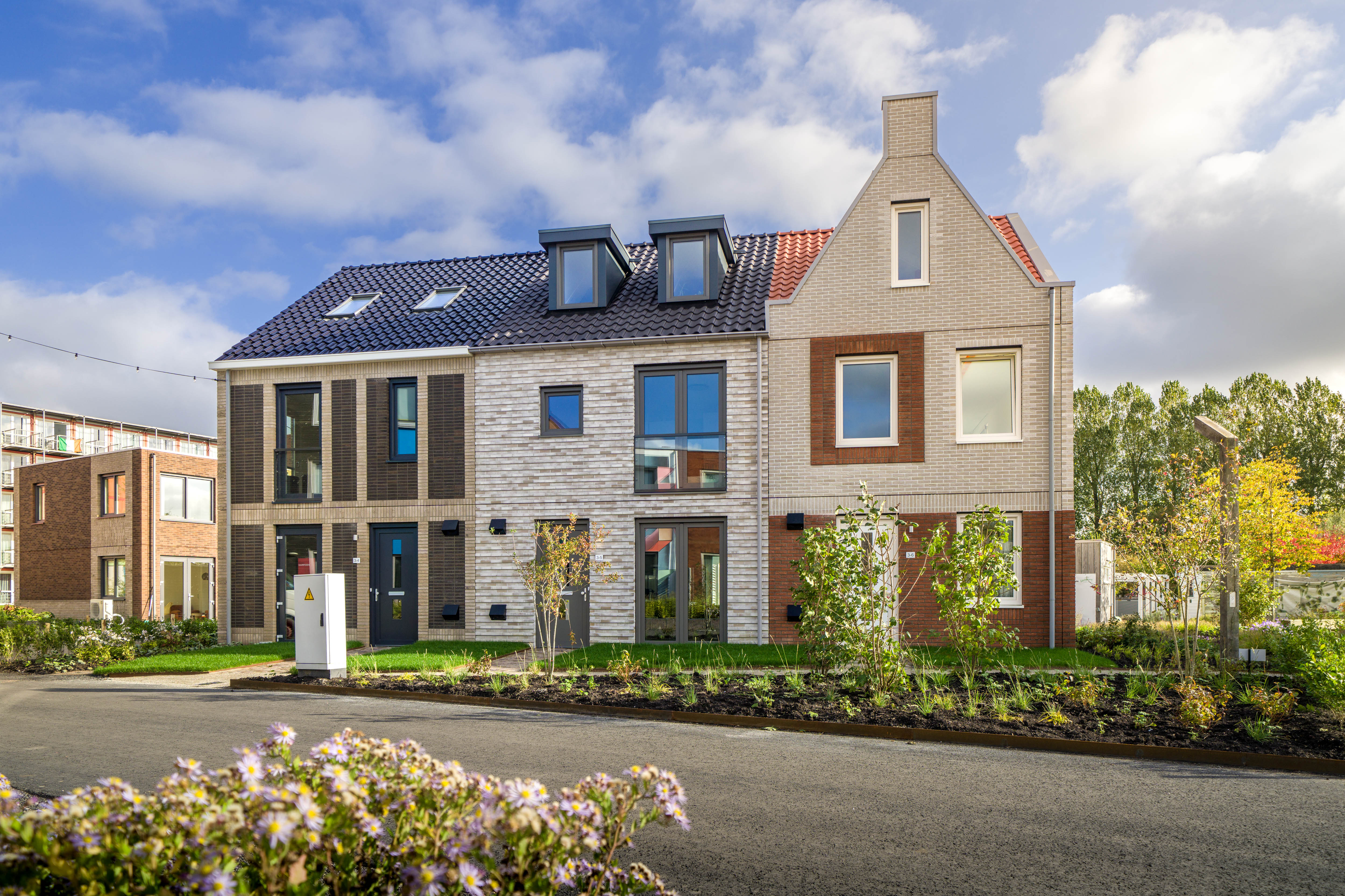 Loskade - 8 woningen - overzichtsfoto met verschillende variaties