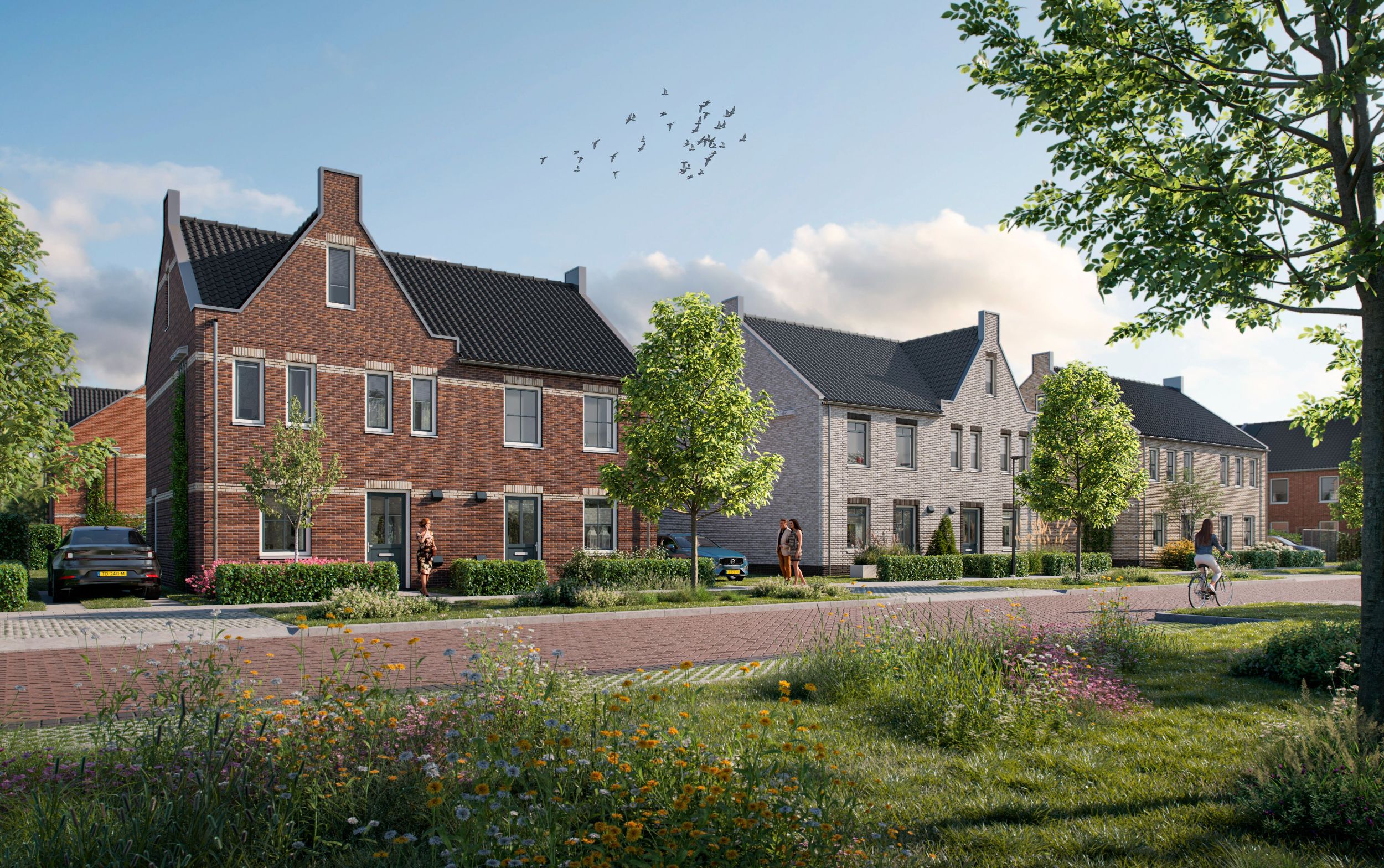 Artist Impression van meerdere rijen tweelaags met kap woningen met een tuitgevel, met verschillende kleuren gevelstenen. Deze woningen worden gerealiseerd in Oudenbosch