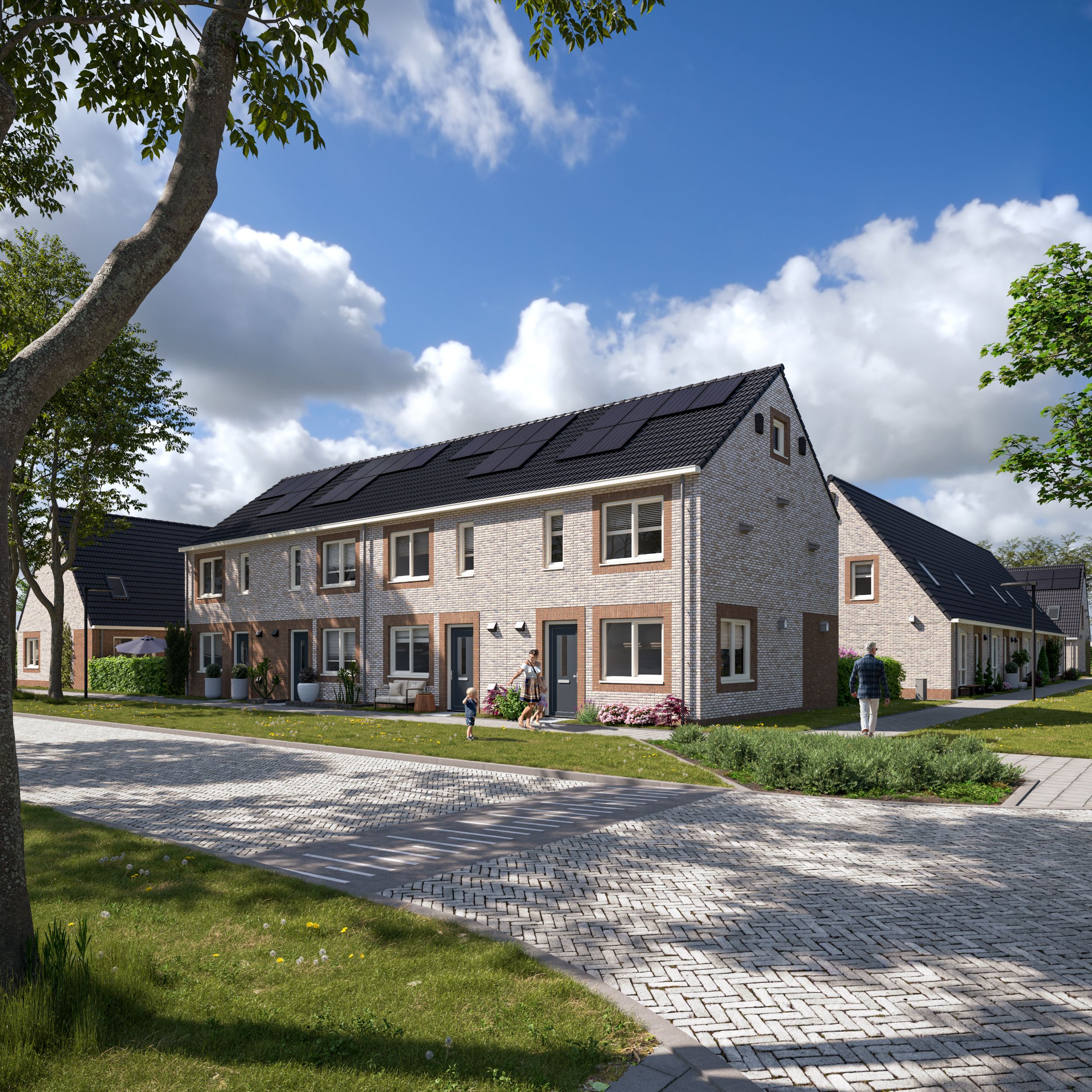 Artist Impression - Raalte - Tweelaags met kap