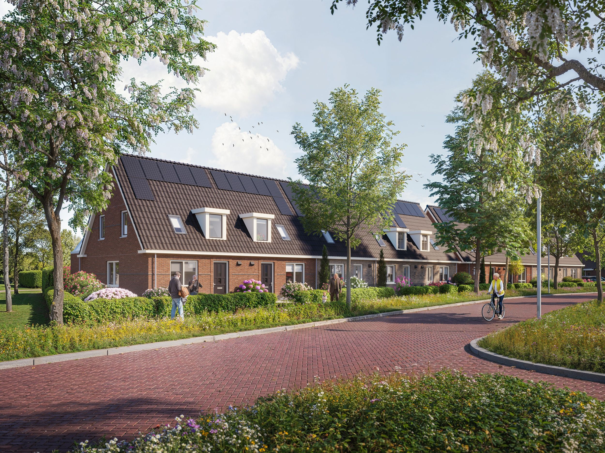 Artist Impression - Swifterbant - Luweland - Eenlaags met kap - Levensloopbestendig - fietser