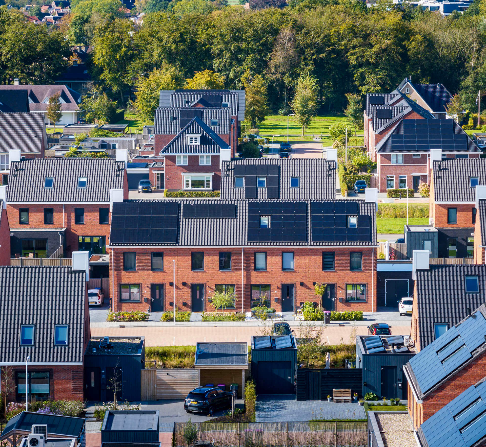 241004_Gorredijk_Nij-Loevestein_LQ_61