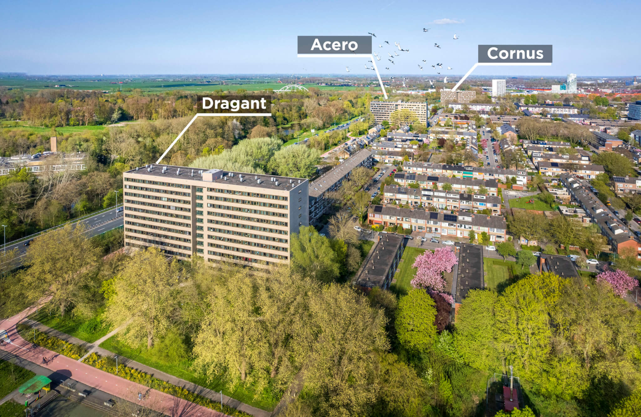 Studentenflats Groningen Kornoeljeflat