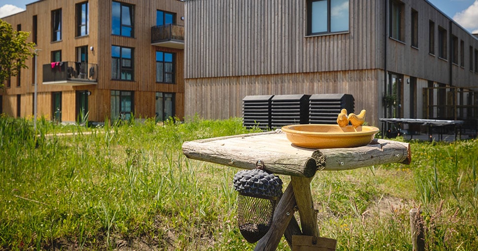 Vogelbadje en voederplek Buurtschap te Veld Eindhoven