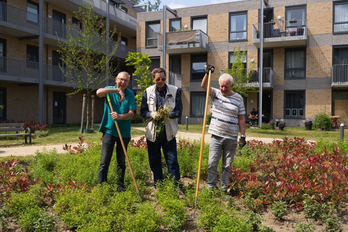 Elderburen Van Wijnen