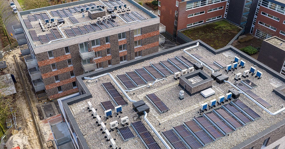 Zonnepanelen Klaver en Kamille