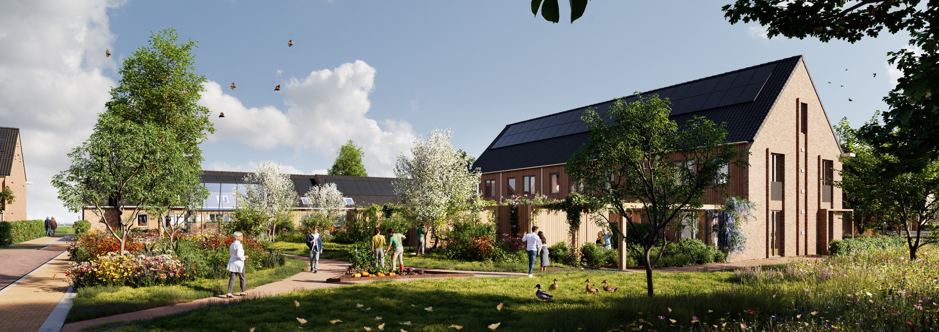 Buyteweg_eiland_4_012_v042