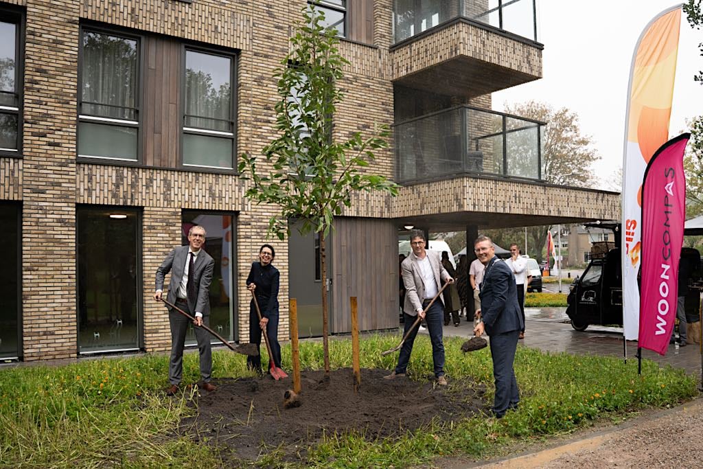 Foto-boom-planten