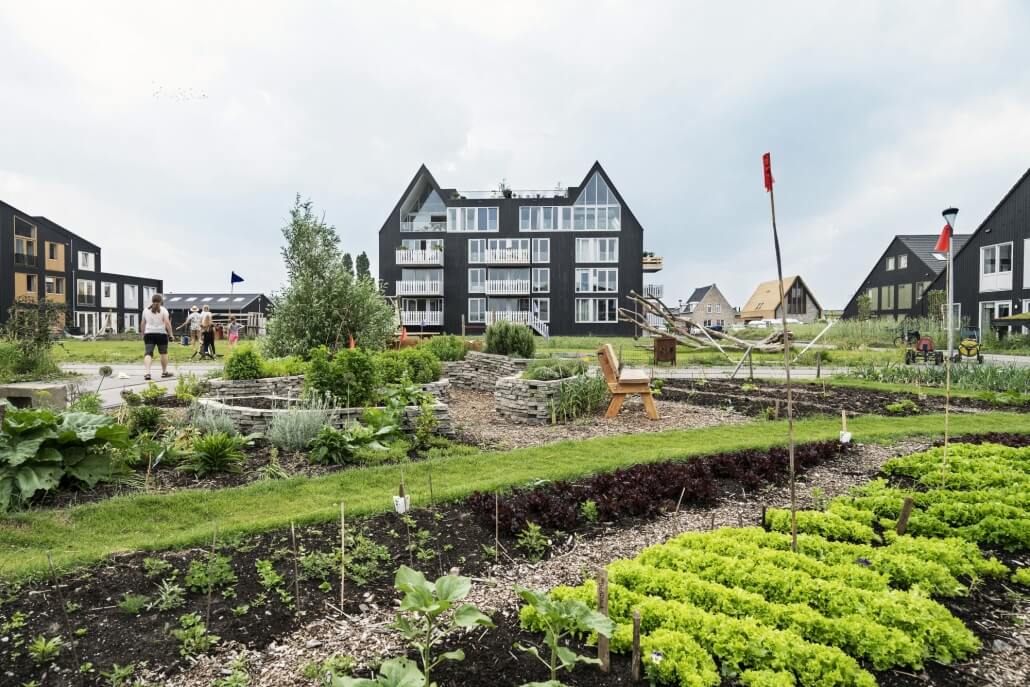 20180530_vanWijnen_geworteldwonen_Rijswijk_DSC2153vk-1030x687-1