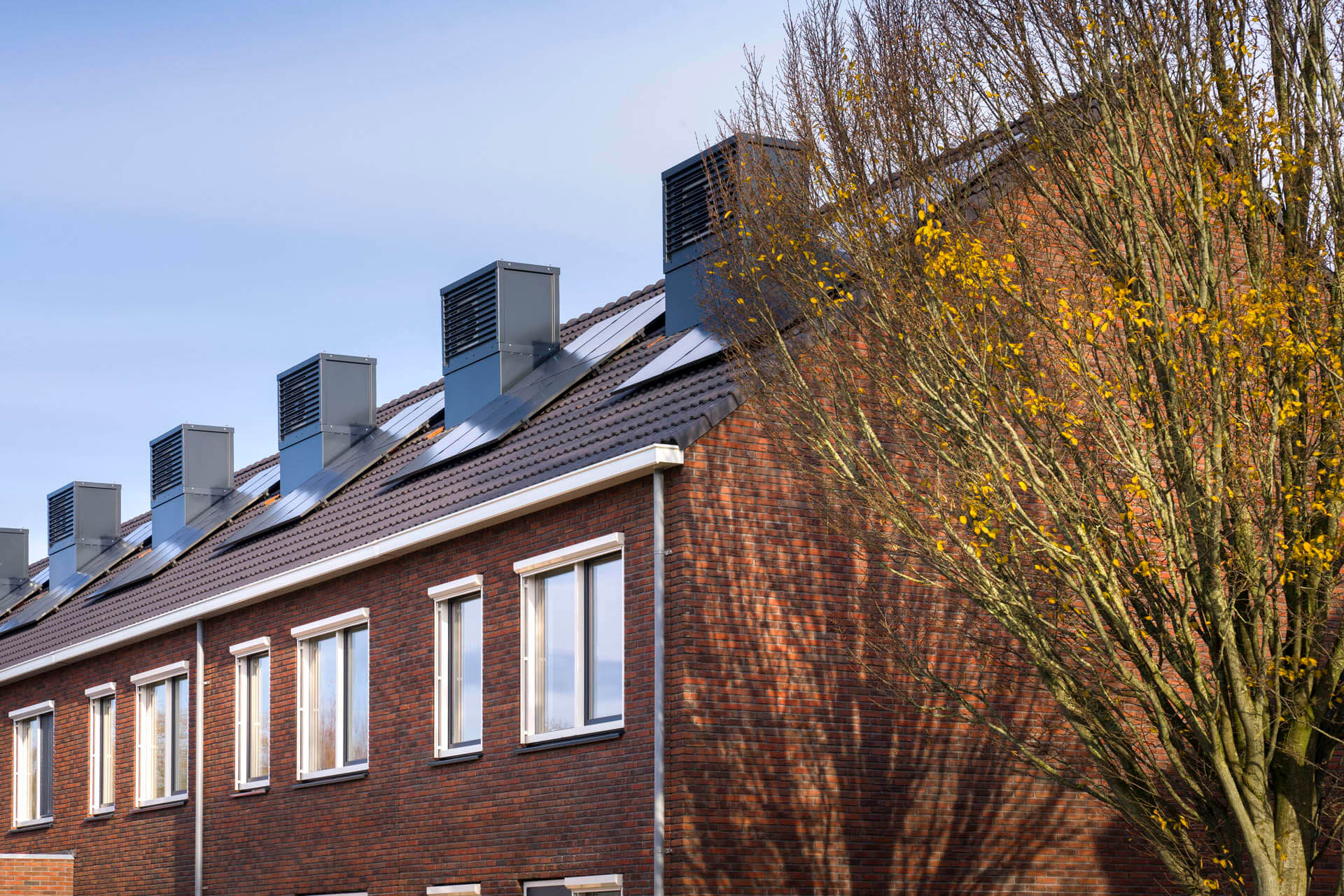 Opwierde-Zuid Appingedam 6