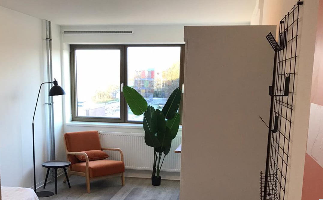 Esdoornflat