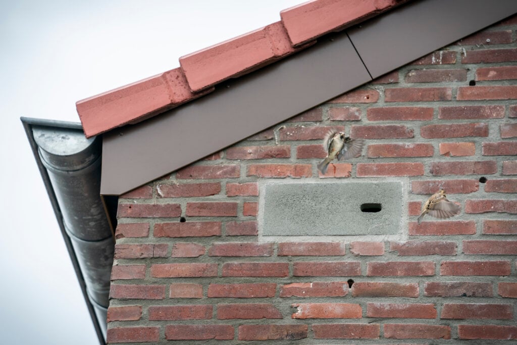 Dierenplek Wonen Middelburg