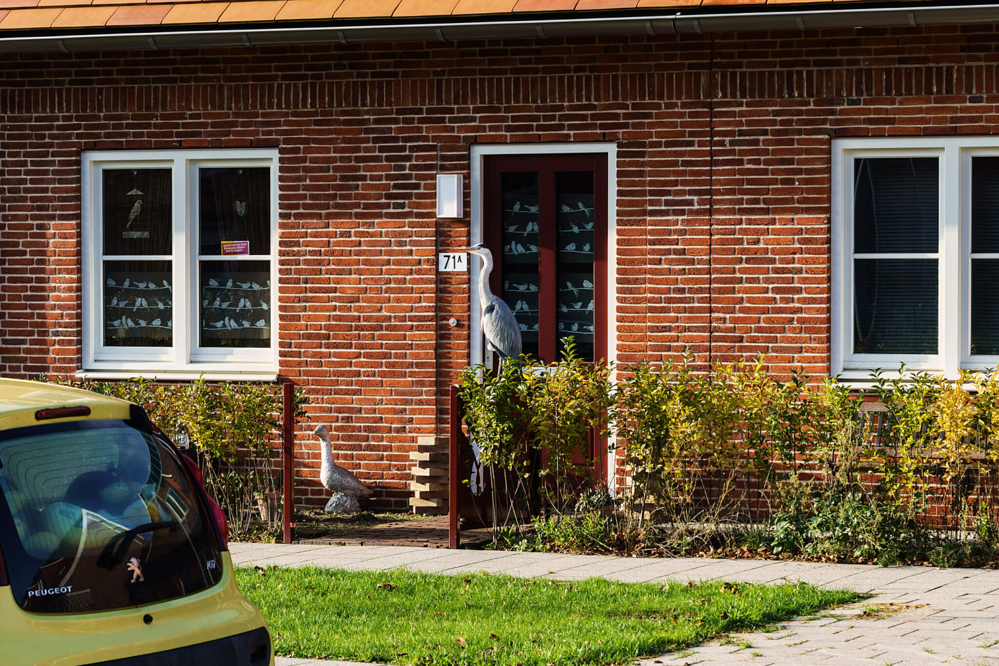 20231201_vanWijnen_Wielewaal_DSC1004