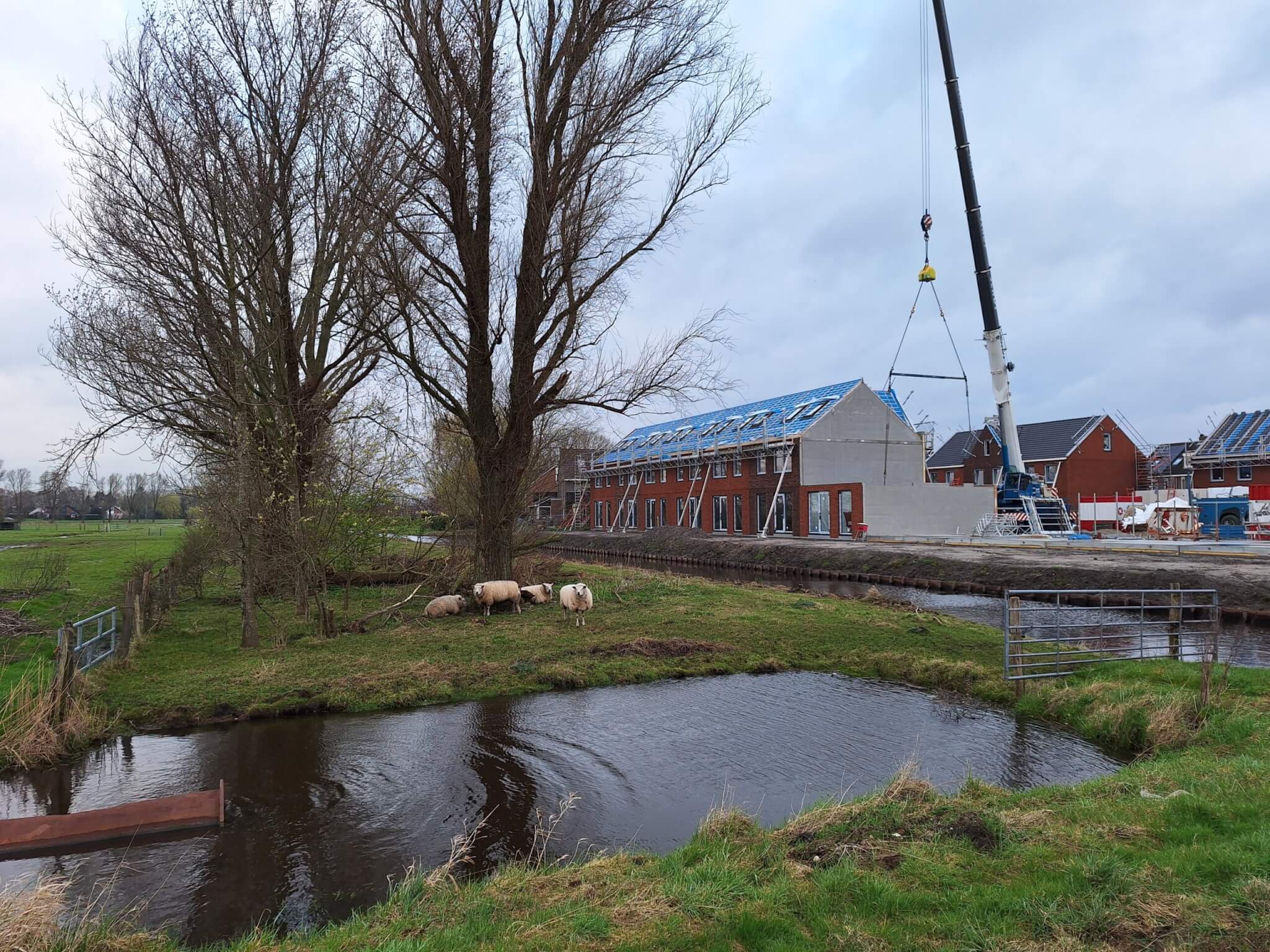 De Botter Edam