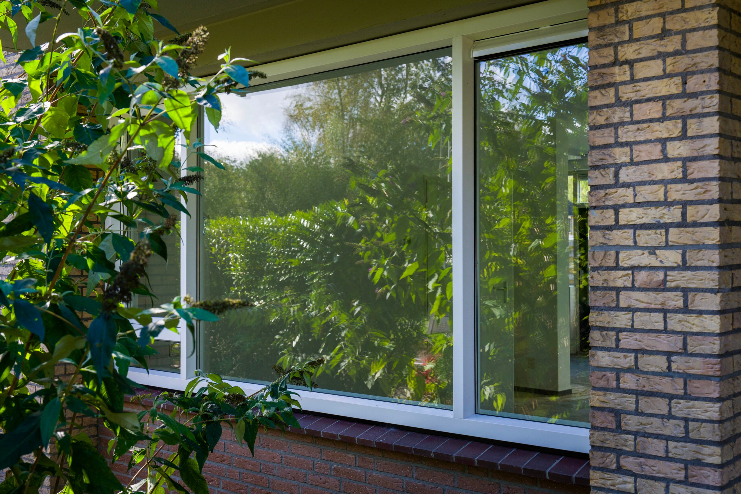 241004_Tichelkamp-25-Burgum_HQ_17