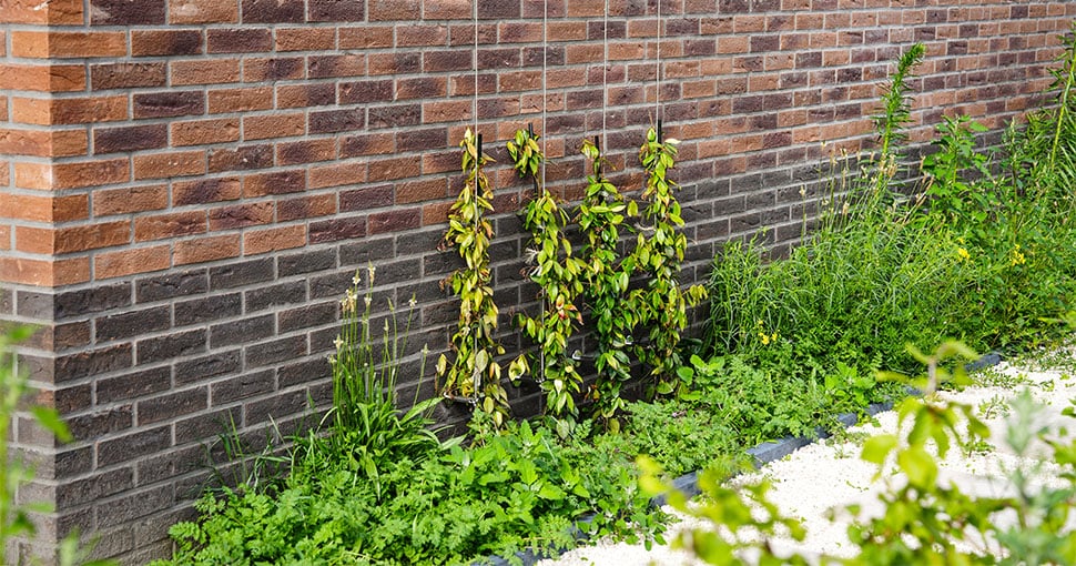 Groen in de wijk Groene Vaart Oudenbosch