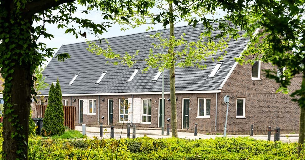 Groene woningen in de Kemp