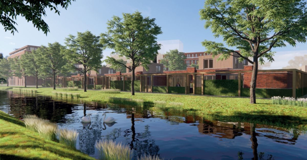 Header Peter Zuidlaan