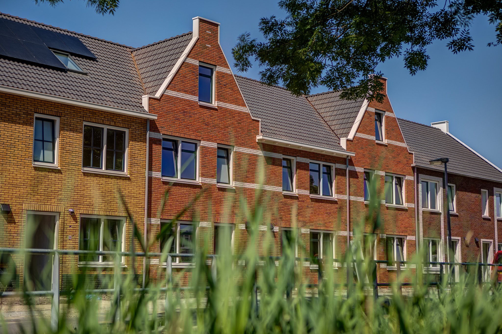 De Kleine Hortus in Groningen met gras