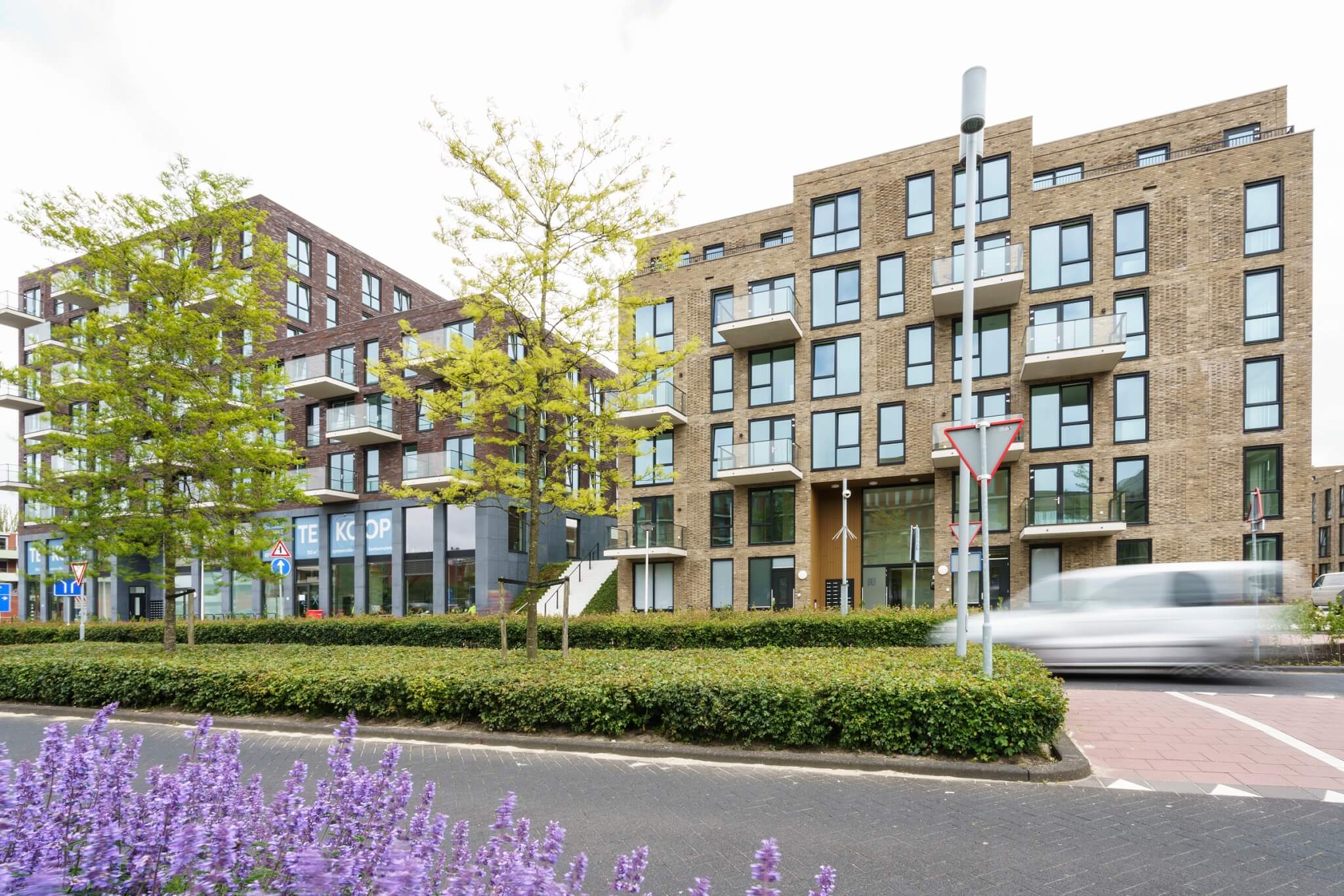 20230530_vanWijnen_Bethelpark_DSC9946