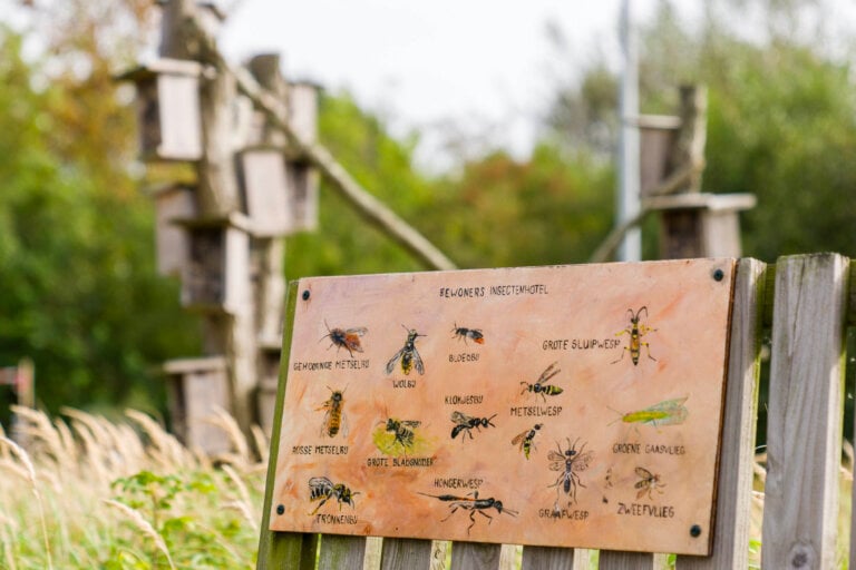 230930_Suyderoog_Landal_HQ_30-edited-768x512