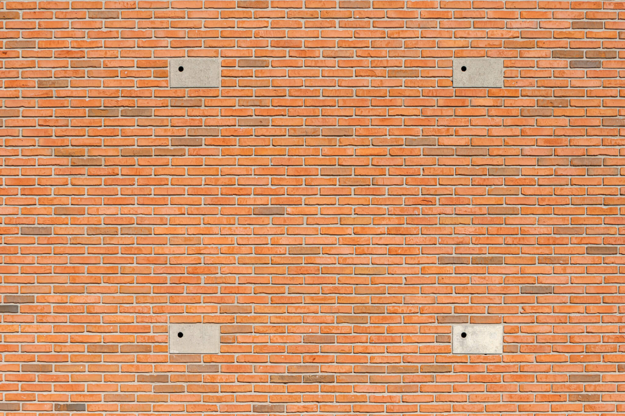 DSC_2663-scaled