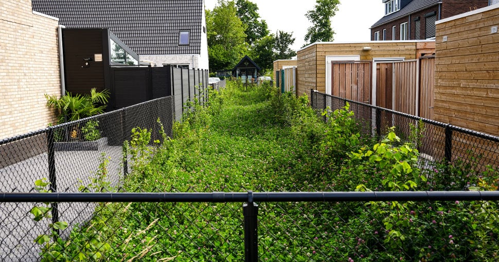 Struweelstrook Groene Vaart Oudenbosch