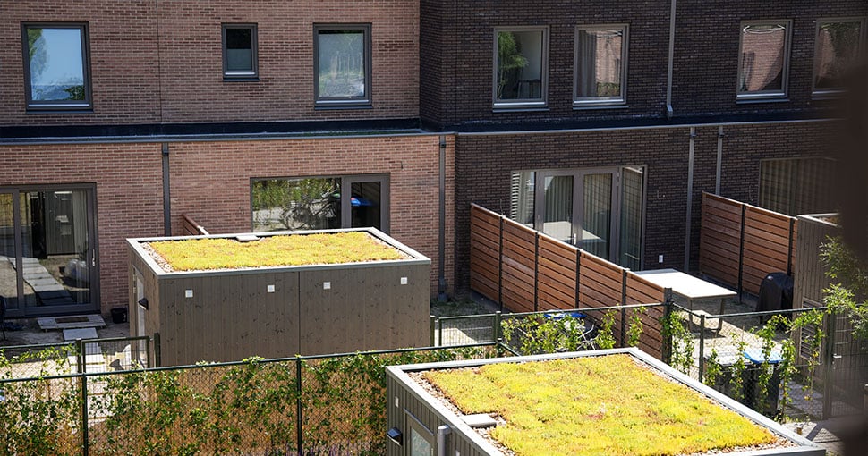 Tuinen van woningen Willemskwartier Tilburg
