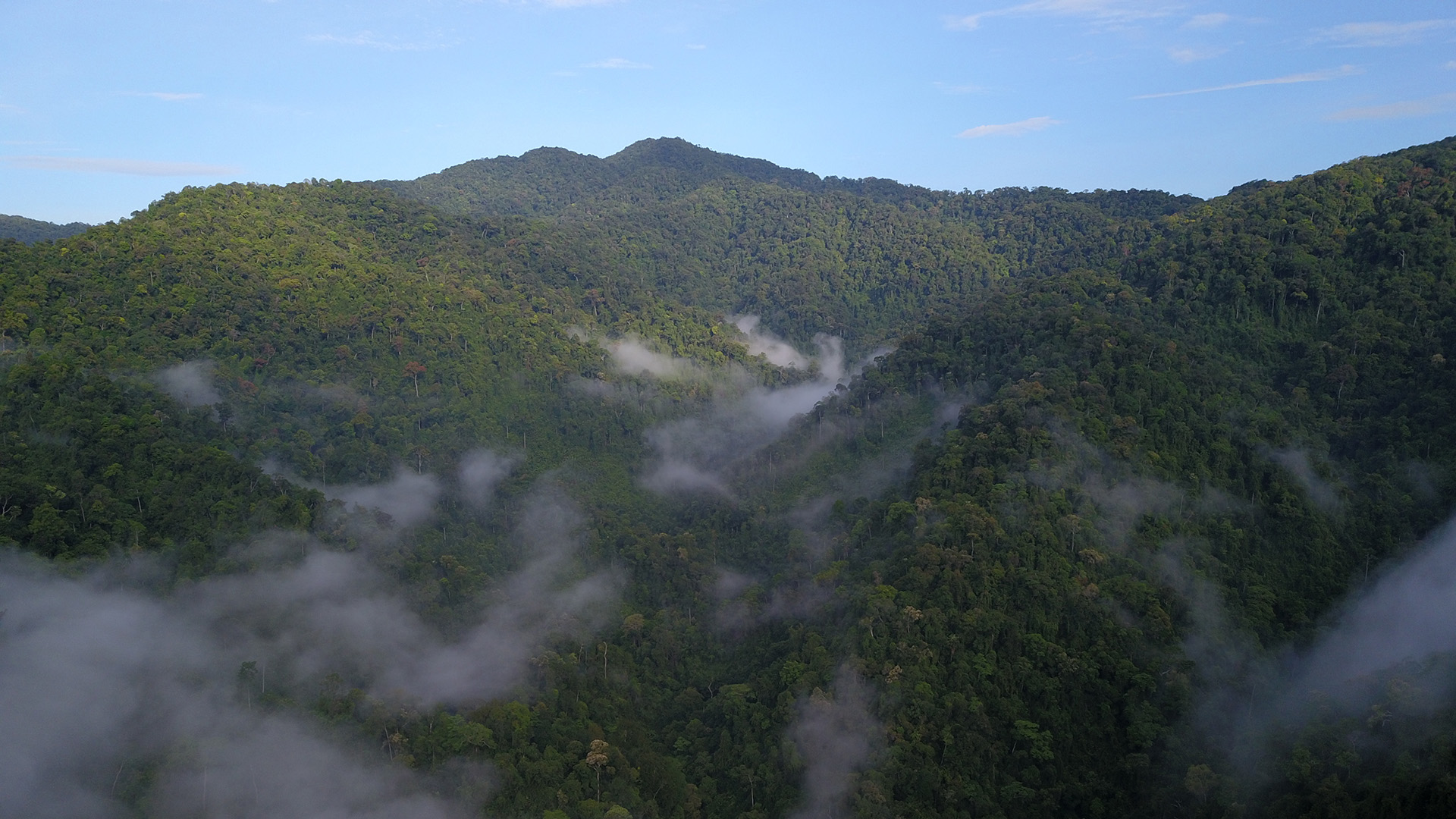 Photo: Nguyen Ngoc Quang, WWF-Viet Nam