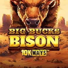 BIG-BUCKS-BISON