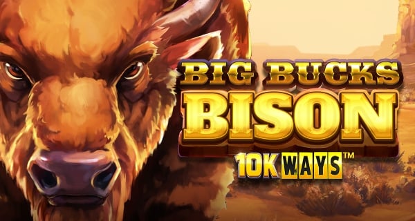 big-bucks-bison-ss