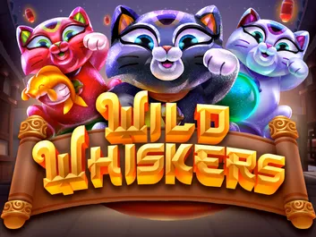 The image shows a promotional graphic for the online slot game "Wild Whiskers" available on Chumba Casino. The background features a playful and colorful cartoon design with various whimsical cat characters. The title "Wild Whiskers" is prominently displayed in bold, yellow letters at the top of the image. The overall theme is fun and lively, with a focus on the mischievous nature of the cat characters.