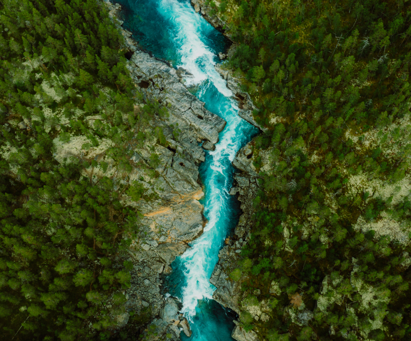 River landscape