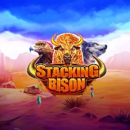 stacking-bison