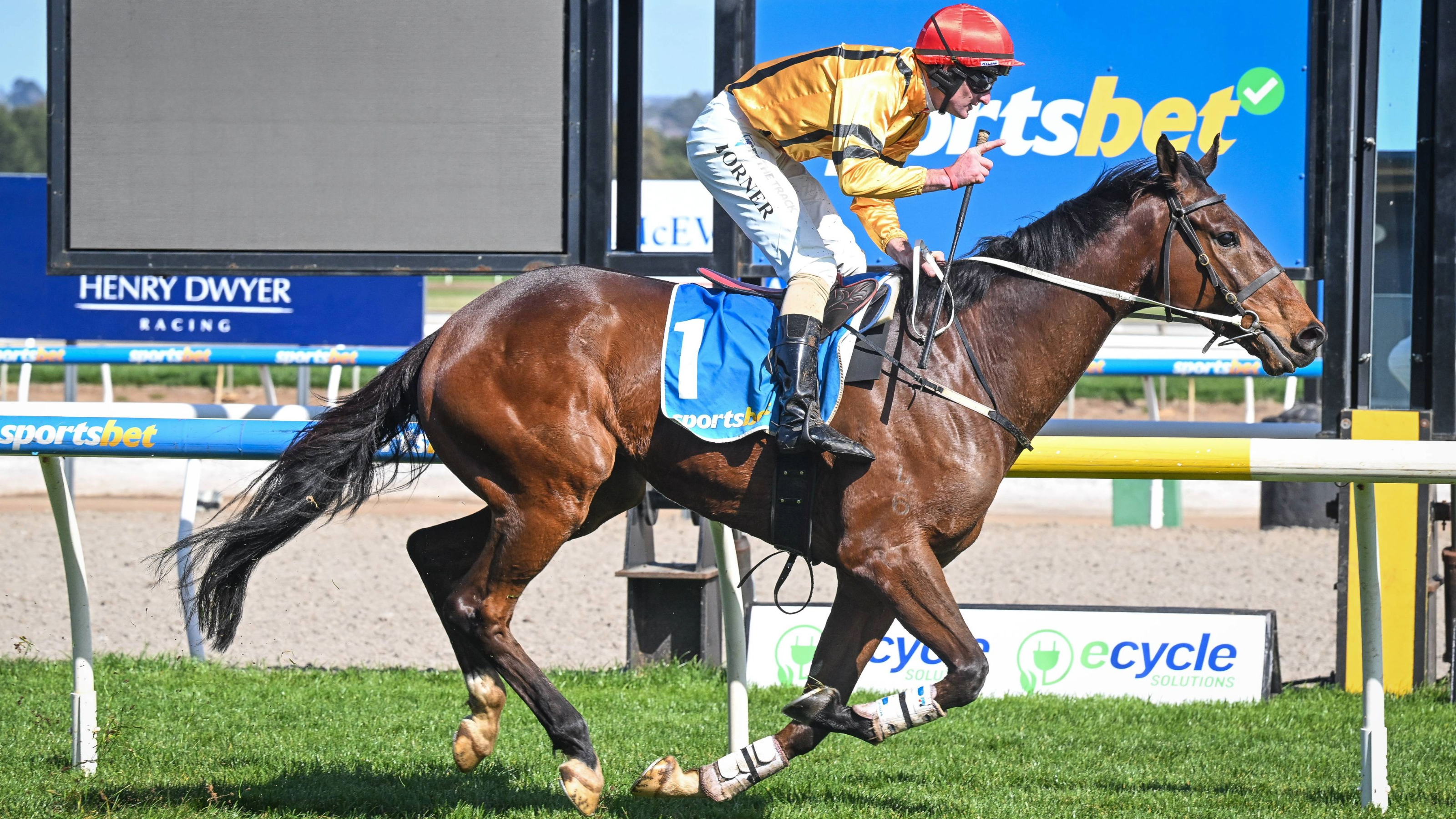 jumps-racing-qualification-card