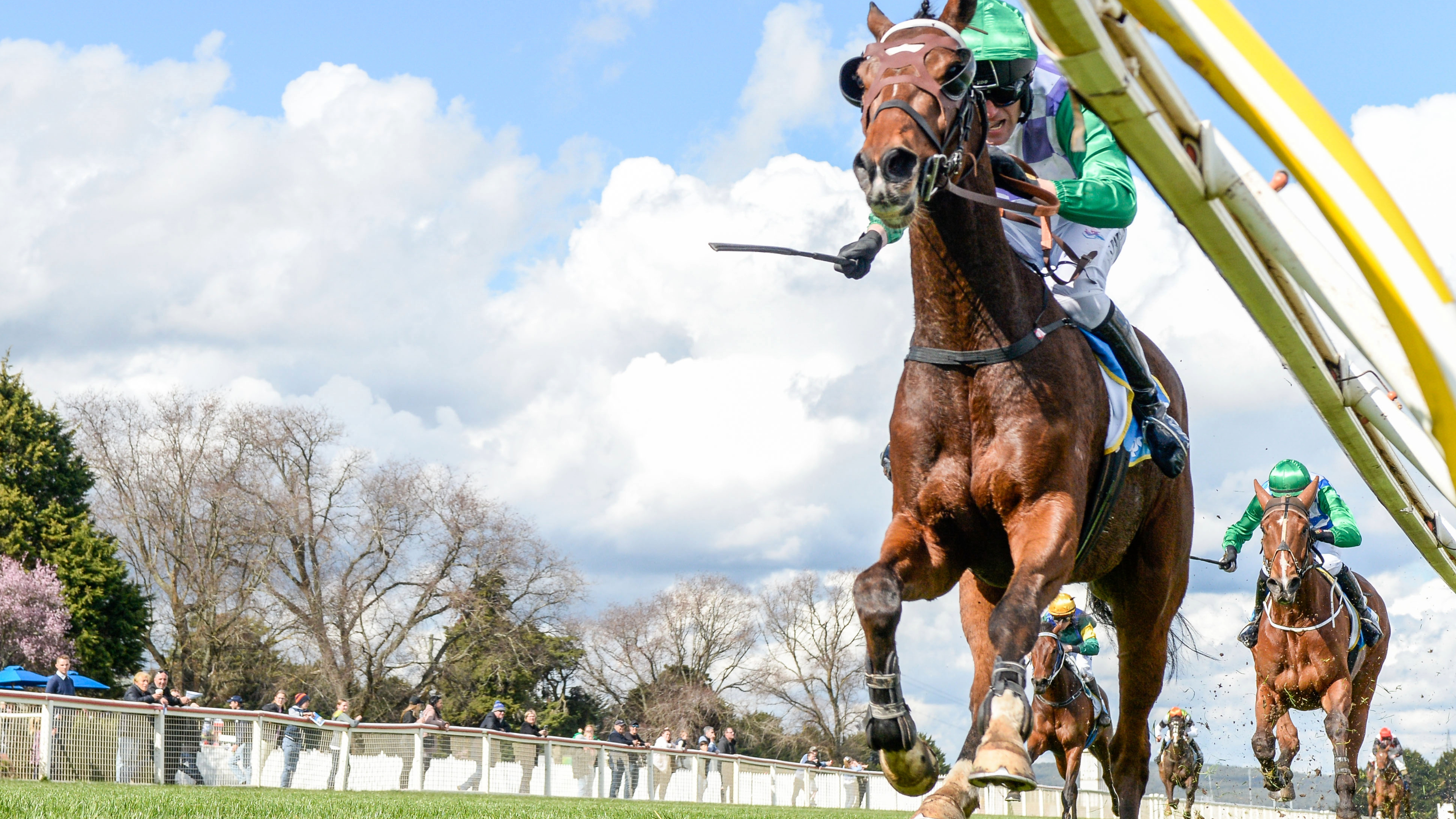 Jummp Racing Jumps Racing