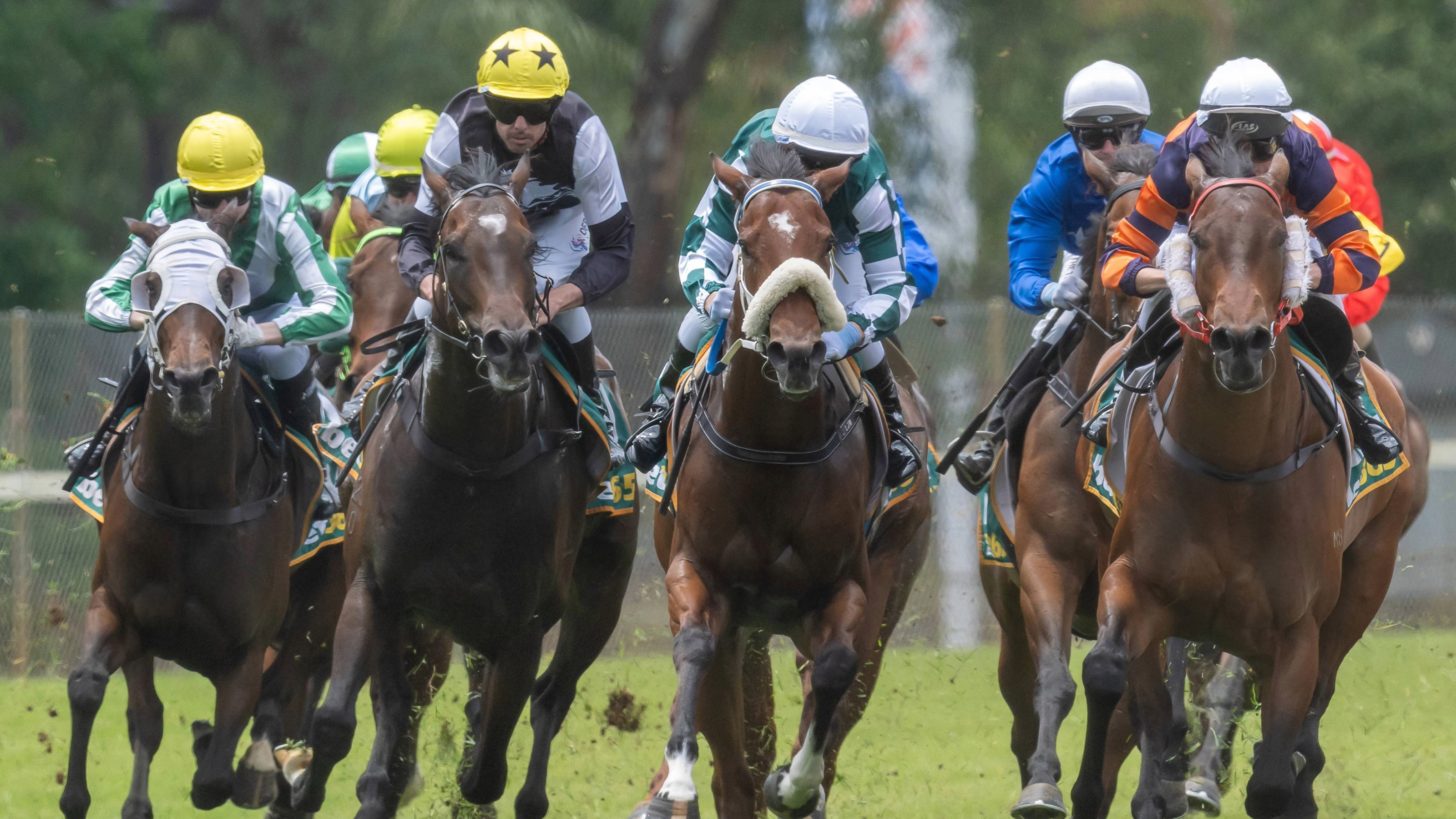 visiting-interstate-trainer-licence-application-card