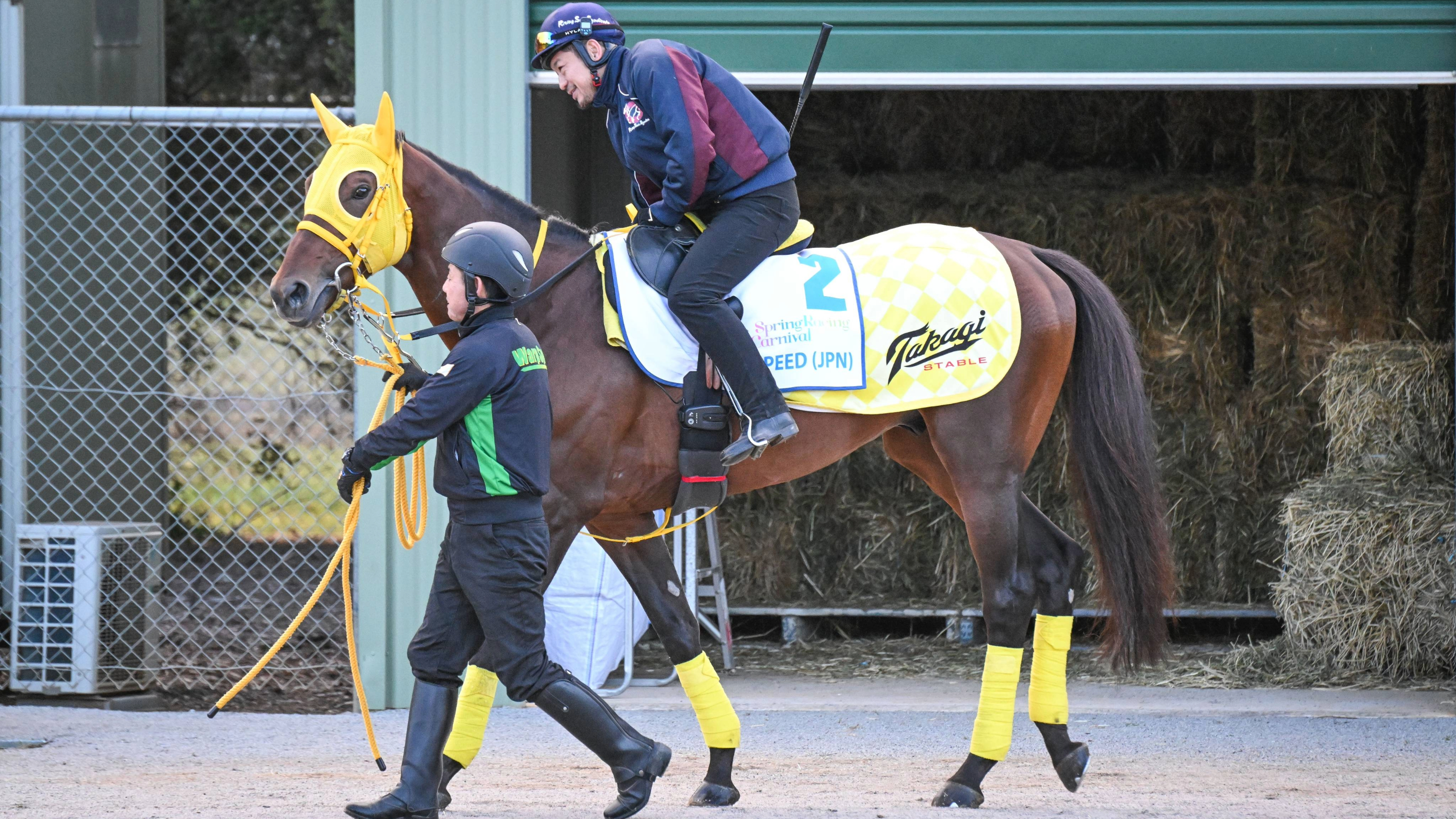 werribee-international-horse-centre-card