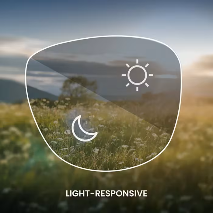 View through a light-responsive lens