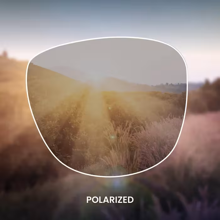View through a polarized lens
