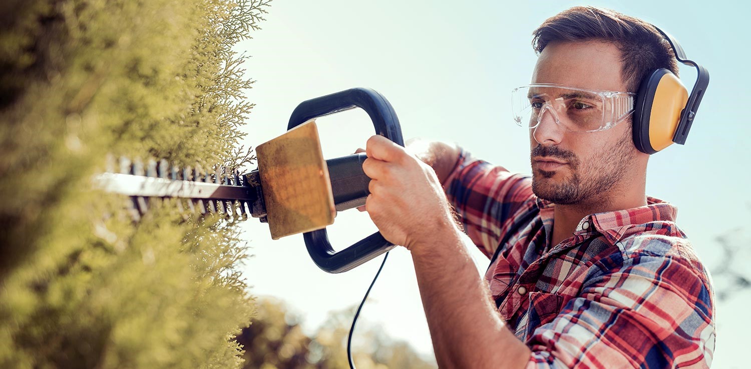 Man wearing ear muffs trims a hedge