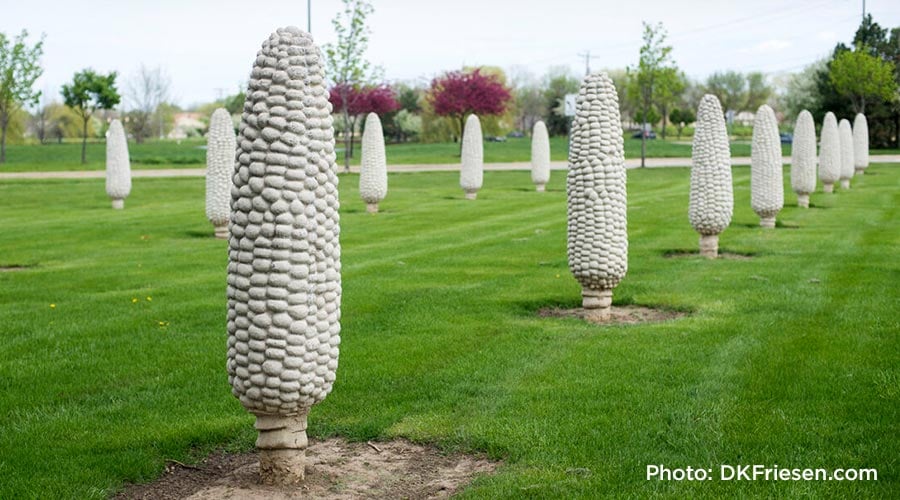 Cornhenge art installation in Columbus, Ohio