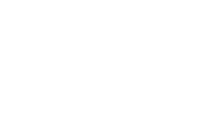 Lynk-Co