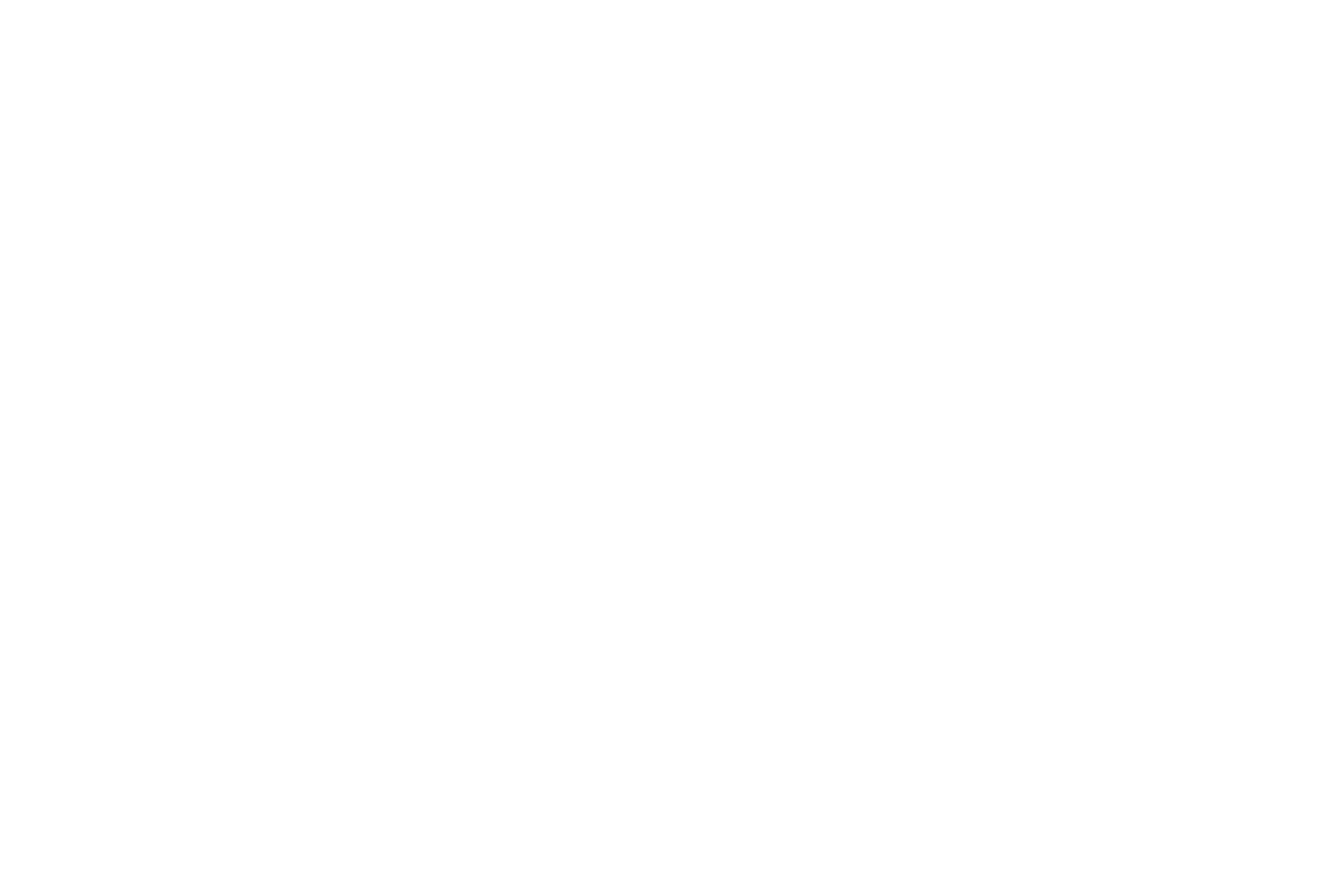 Audi logo