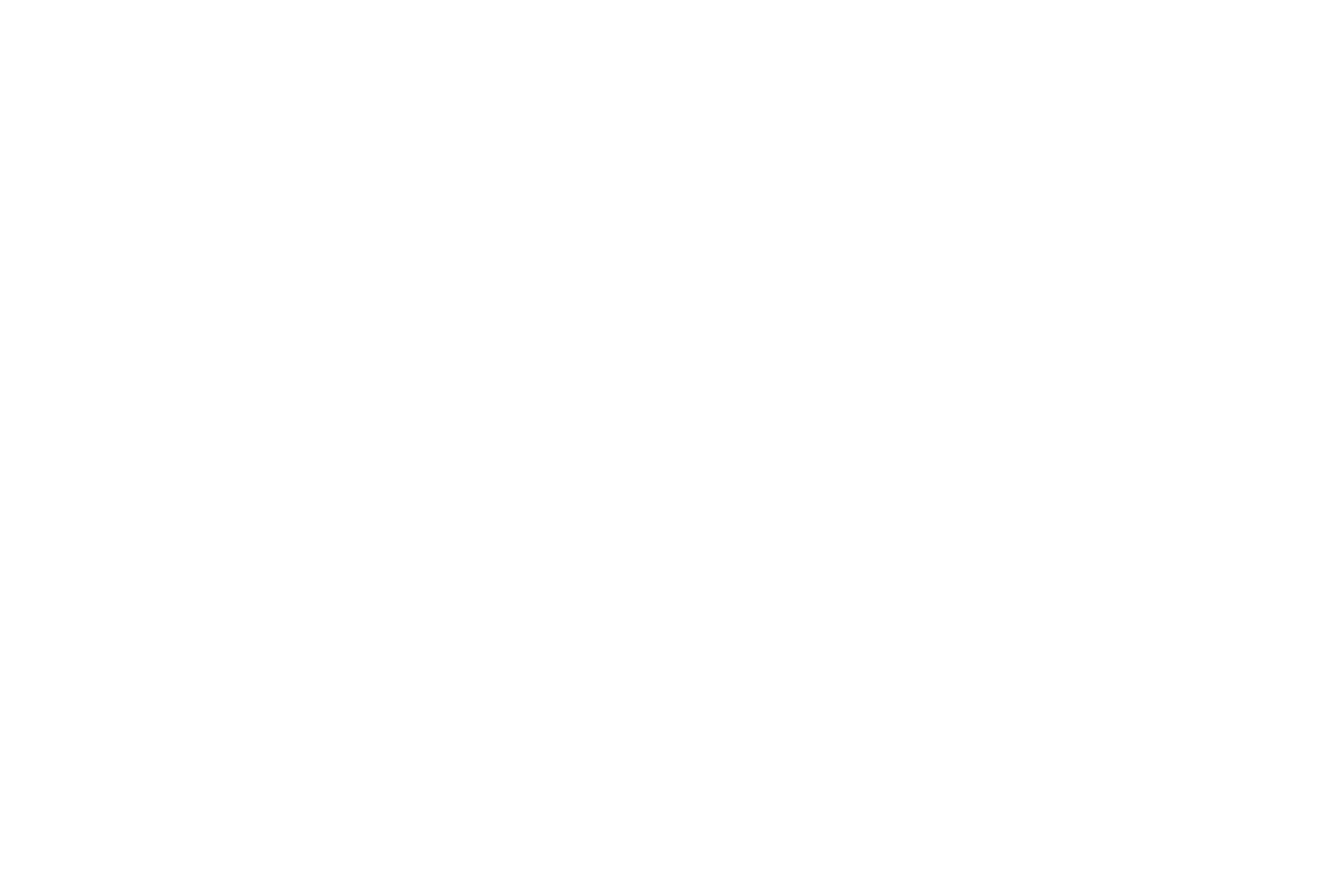 SEAT logo