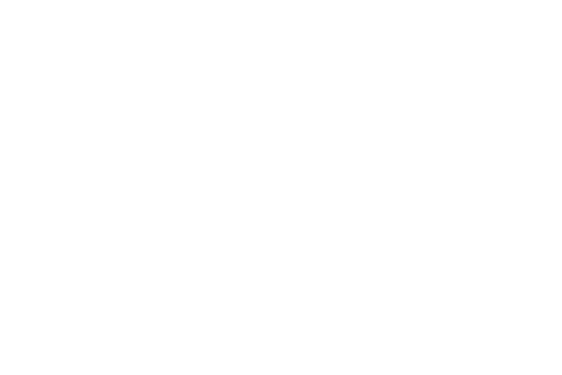 Skoda logo