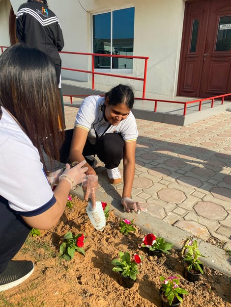 A woman is planting colourful flowers in an office area of Walkers for environmental and social awareness.
