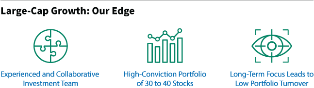 Large Cap Growth Our Edge chart