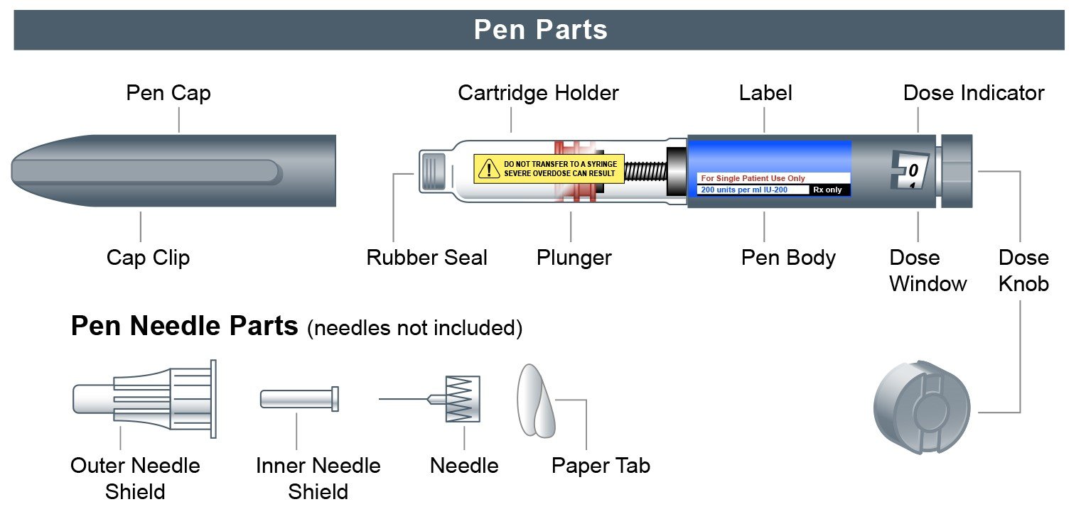 GLP 1 pen parts chart