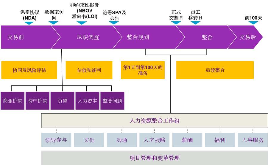 人力资源整合计划及人员优化方案